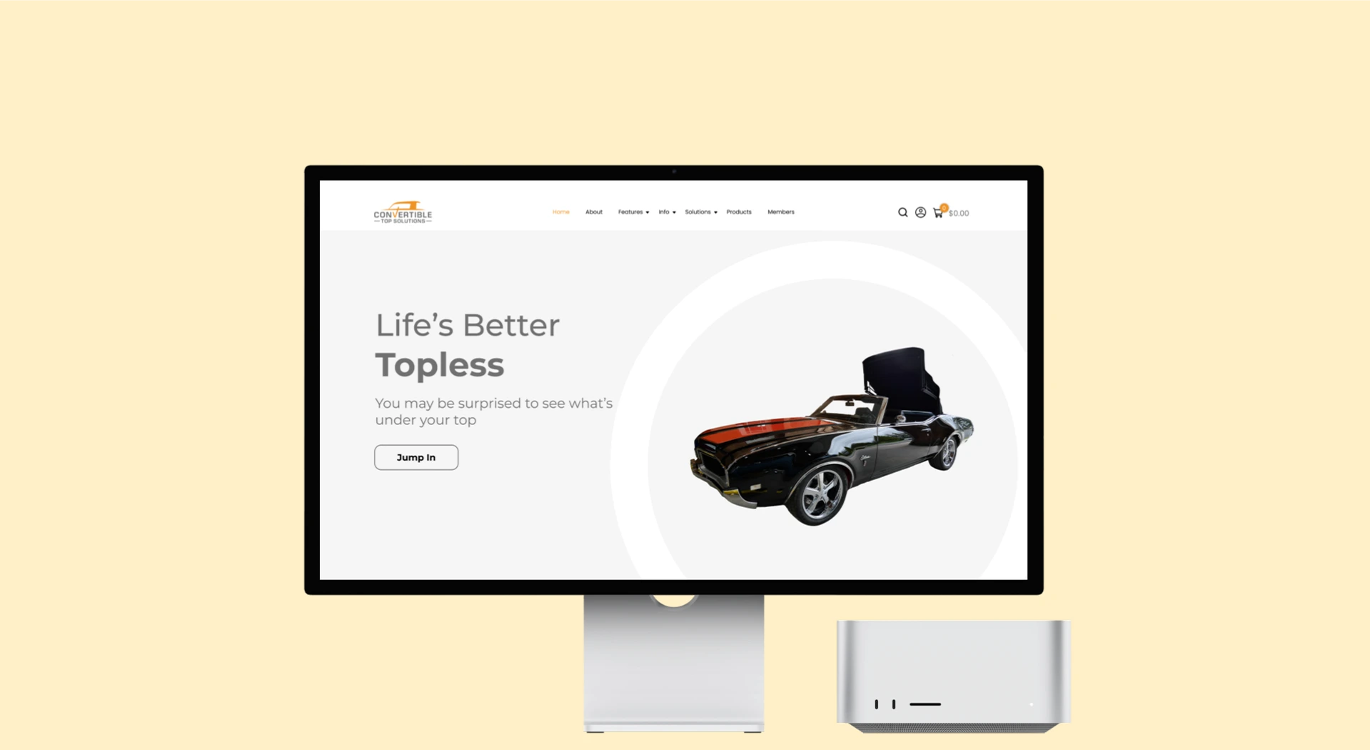 Convertible Top Solutions